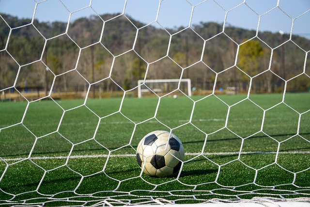 是无可替代 是无可替代