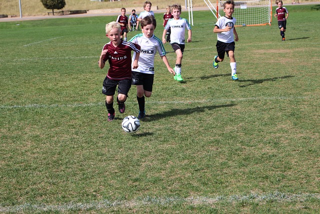 的个人核心 的个人核心