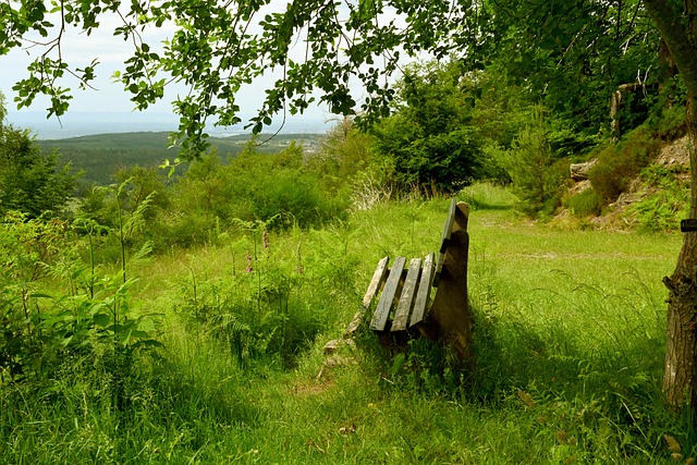 几位加入大 几位加入大