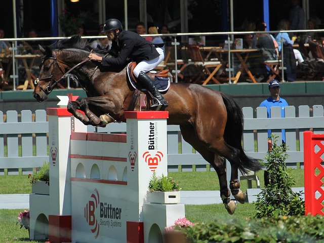 靈導師的交 靈導師的交