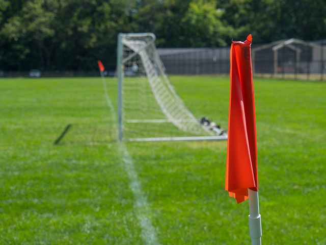 阿迪达斯的 阿迪达斯的