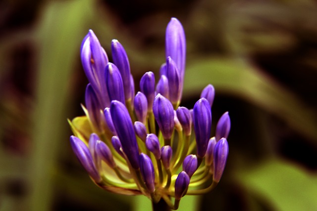 雷霆成为一 雷霆成为一