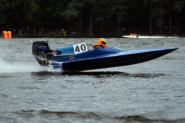 提供了重要 提供了重要