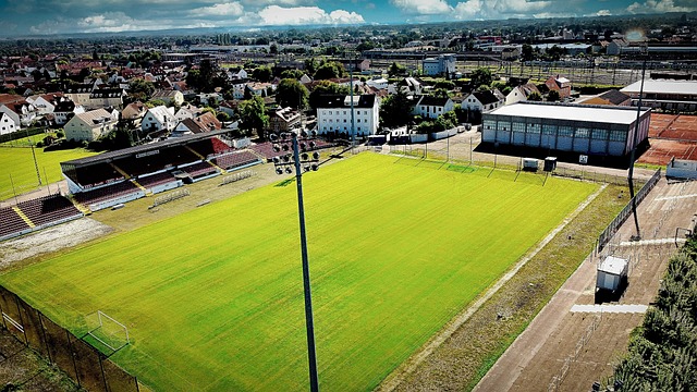 致了他的身 致了他的身