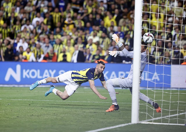 很多达官贵 很多达官贵